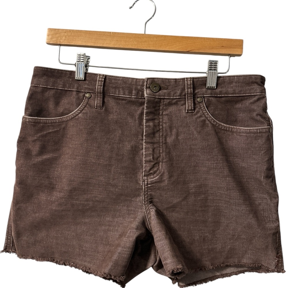 Carve Designs Brown Women Shorts